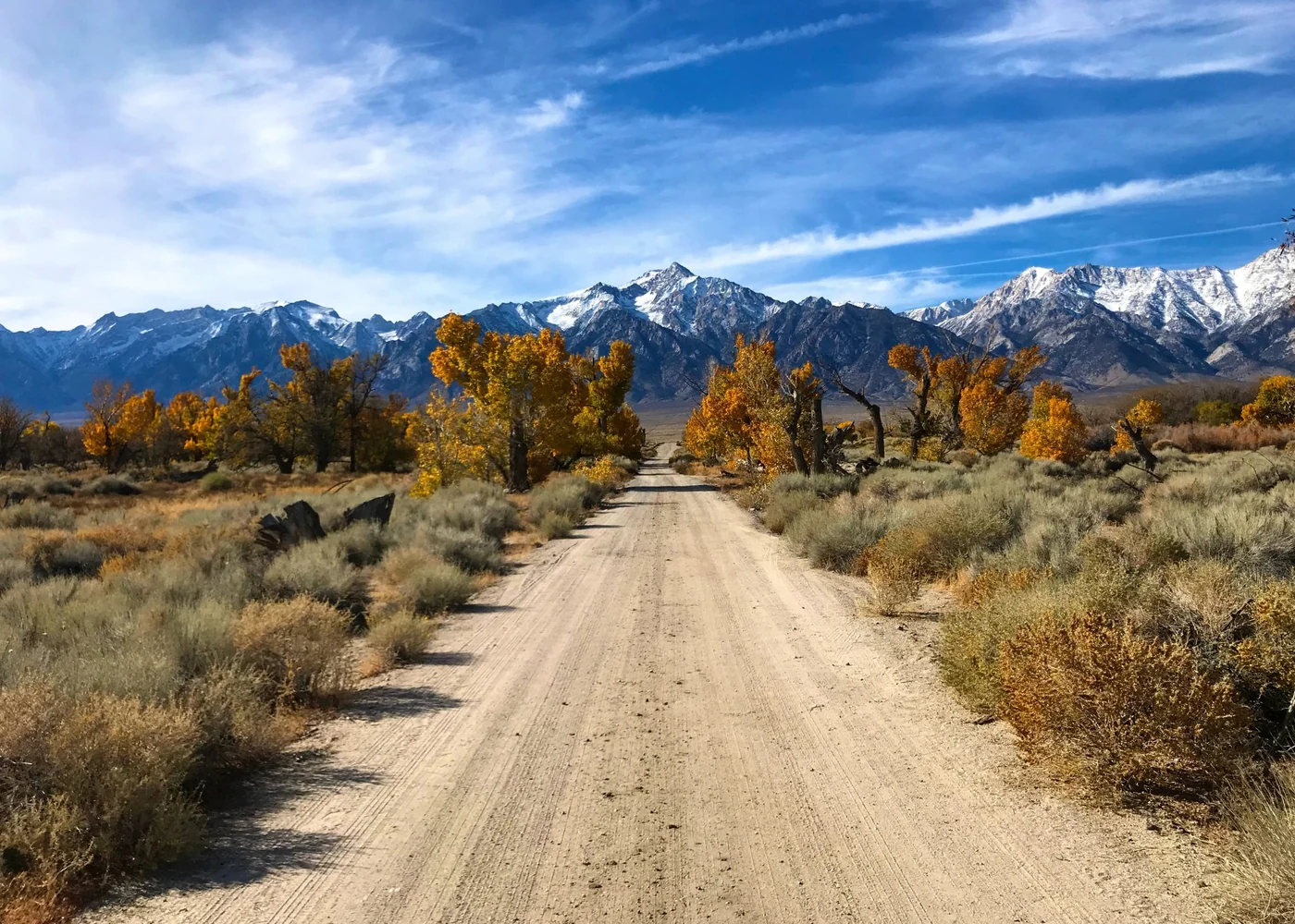 Mountain road through autumn trees on Alpine Gold.